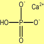 Dicalcium Phosphate or Calcium Phosphate Dibasic Suppliers