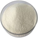 Sodium Hyaluronate Manufacturers Exporters
